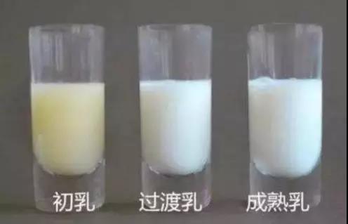 岳阳市瑞锦盛华健康管理有限责任公司,凯尔莱夫国际月子会所,岳阳市瑞锦盛华健康管理,岳阳月子会所,坐月子,月子会所,岳阳月子会所哪家好,月子会所哪家好 岳阳市瑞锦盛华健康管理有限责任公司,凯尔莱夫国际月子会所,岳阳市瑞锦盛华健康管理,岳阳月子会所,坐月子,月子会所,岳阳月子会所哪家好,月子会所哪家好
